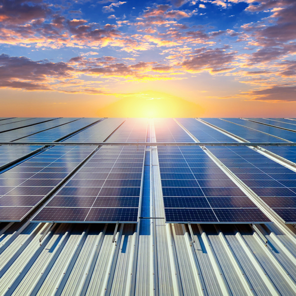 Sector eléctrico
